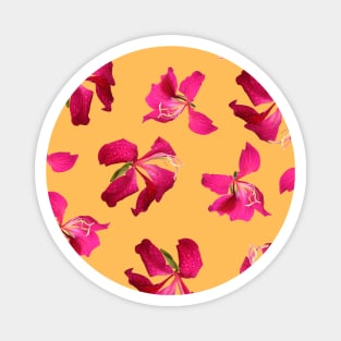 Bauhinia Flower Custard Yellow - Summer Flower Pattern Magnet